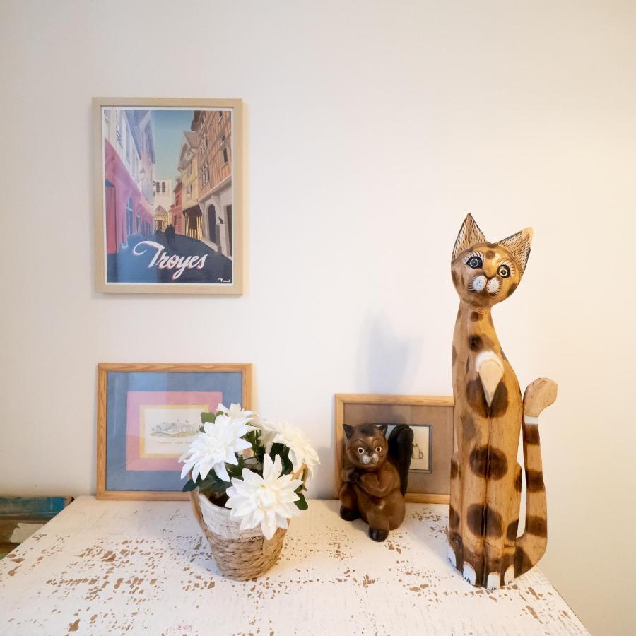 Le Chat De La Cathedrale - Calme - Jardin - Wifi 特鲁瓦 外观 照片